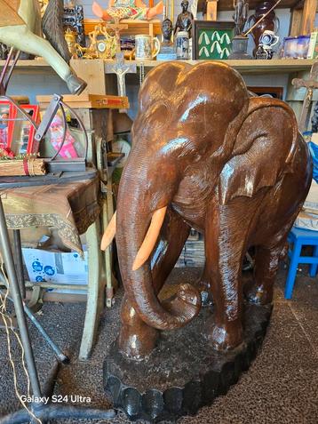 Olifant houten 130 hoog weegt rond de 250 tot 300 kg . beschikbaar voor biedingen