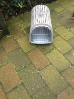 Hinden mand, Dieren en Toebehoren, Ophalen of Verzenden, Zo goed als nieuw