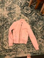 bomberjack van america today maat xl, Kleding | Dames, Ophalen of Verzenden, Zo goed als nieuw, Maat 46/48 (XL) of groter, Blauw