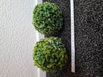 Twee buxus bollen, Ophalen of Verzenden, Nieuw