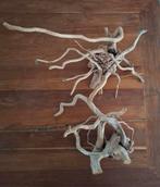 2 mooie stukken spider wood, Ophalen of Verzenden, Zo goed als nieuw