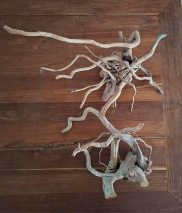 2 mooie stukken spider wood beschikbaar voor biedingen