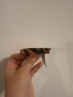 Nieuwe Armband - Niet Gedragen, Ophalen of Verzenden, Nieuw, Bruin, Leer