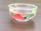 realistisch miniatuur aquarium, Ophalen of Verzenden, Zo goed als nieuw, Decoratie