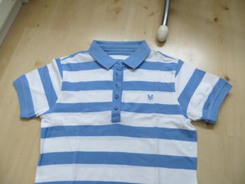 polo shirt dames/CREW/streep/blauw-wit/korte mouw beschikbaar voor biedingen
