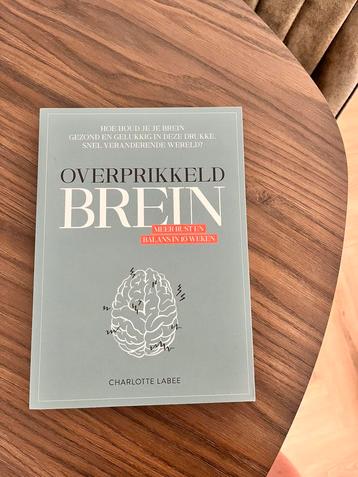 Charlotte Labee - Overprikkeld brein beschikbaar voor biedingen