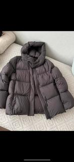 Winterjas maat xs uniqlo, Ophalen of Verzenden, Zo goed als nieuw, Maat 34 (XS) of kleiner, Zwart