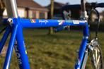 Gios compact evolution Pro -frame 55.5, Fietsen en Brommers, Overige merken, Carbon, Ophalen of Verzenden, Zo goed als nieuw