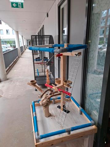Tafel voor de papagaai  beschikbaar voor biedingen