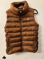 Eskadron bodywarmer paardrijden goud, Verzenden, Zo goed als nieuw, Maat 42/44 (L)