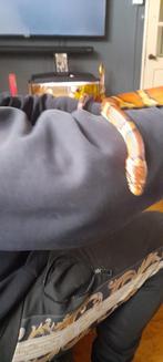 mooie python en rattenslang, Dieren en Toebehoren, Reptielen en Amfibieën, Slang, Met terrarium, 3 tot 6 jaar