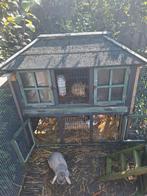 Konijnen, hok en ren. Mag voor een klein prijsje, Dieren en Toebehoren, Ophalen, Cavia, 90 cm of meer, Hok