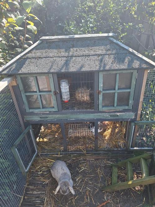 Konijnen, hok en ren. Mag voor een klein prijsje, Dieren en Toebehoren, Knaagdieren en Konijnen | Hokken en Kooien, Gebruikt, Hok