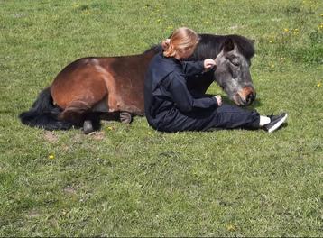 Ervaren dieren oppas aangeboden beschikbaar voor biedingen