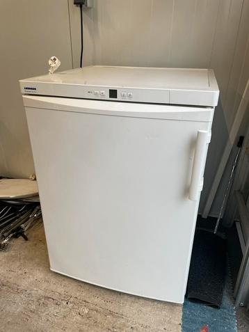 Liebherr Premium No Frost | Vriezer beschikbaar voor biedingen