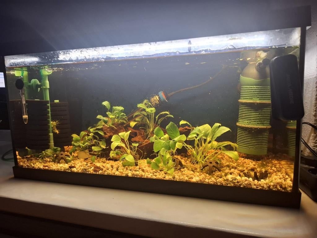 EHEIM Aquarium 54Liter + LED Verlichting Compleet, Ophalen, Inclusief deksel, Zo goed als nieuw, Leeg aquarium