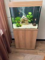 Juwel Lido 120 Led 61x41x58 cm - Aquaria, Dieren en Toebehoren, Vissen | Aquaria en Toebehoren, Verlichting of Verwarming, Zo goed als nieuw