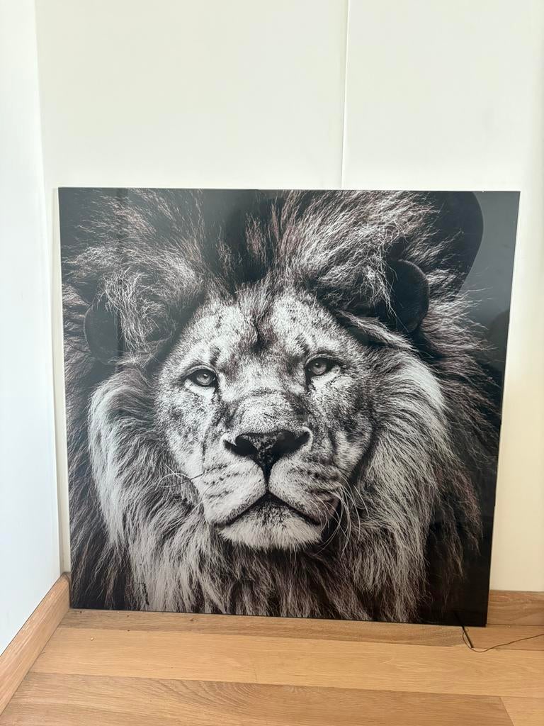 Leeuwen glasplaat - 80x70cm - perfecte staat, Ophalen, Zo goed als nieuw, Schilderij, 75 cm of meer