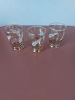 Vintage glazen, afbeeldingen van varens ., Verzamelen, Glas en Borrelglaasjes, Ophalen of Verzenden