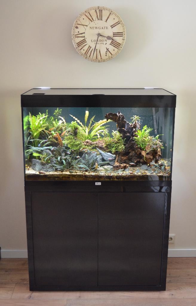 Compleet Aqualantis Aquarium 100 x 50 incl. alle accessoires, Ophalen, Gebruikt, Aquatlantis, Gevuld zoetwateraquarium