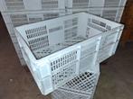 Stevige Stapelbare Kunststof / Veiling Kratten Bakken AGF WO, Doe-het-zelf en Verbouw, Kratten en Dozen, Ophalen, 40 tot 60 cm