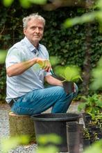 Volop inheemse planten te koop, unieke kans!, Ophalen, Overige soorten, Volle zon