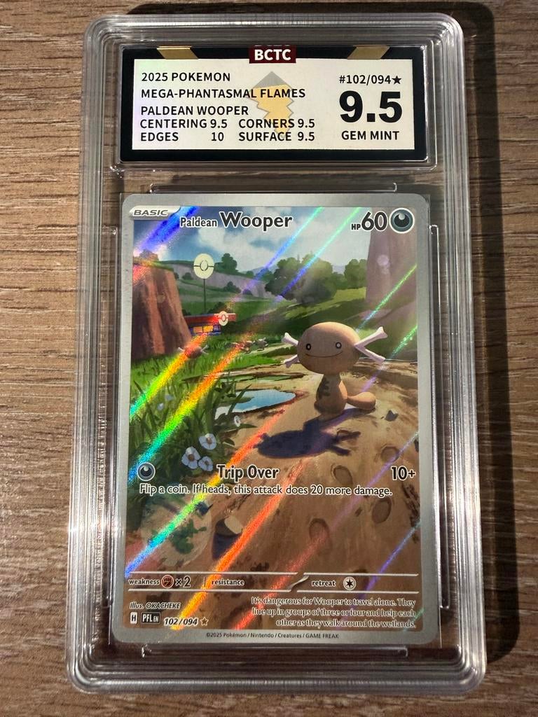 Pokemon Paldean Wooper BCTC 9.5, Ophalen of Verzenden, Zo goed als nieuw