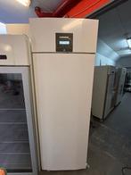 Liebherr 600Liter koelkast op wielen ZGAN, Ophalen, Zonder vriesvak, 200 liter of meer, 60 cm of meer