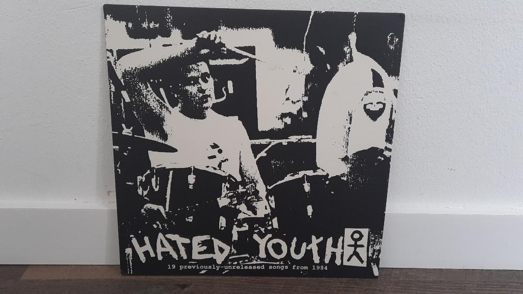 Hated Youth / Roach Hotel LP, Hardcore, Punk, Gray Marbled, Gebruikt, 1990 - 1999, Alternative, Ophalen of Verzenden