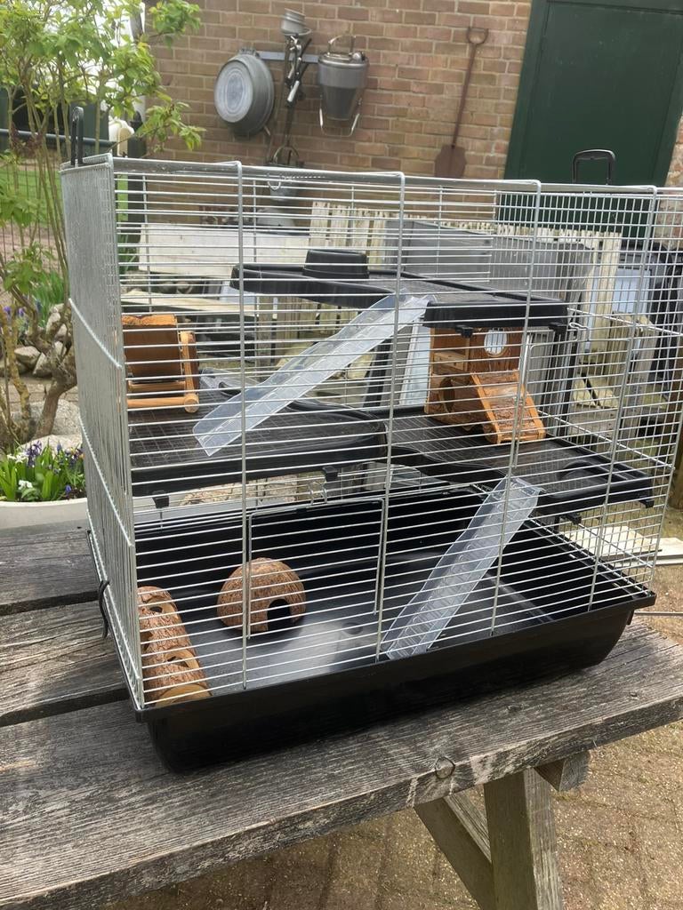 Hamster kooi met verdiepingen houtenhuisje,eetbakje enz., Dieren en Toebehoren, Kooi, Gebruikt, Minder dan 75 cm, Hamster