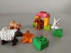 LEGO Duplo boerderijdieren – schaap, geit, konijn en varken, Ophalen of Verzenden, Duplo