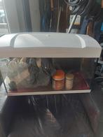Aquarium  compleet z.g.a.n, Minder dan 60 cm, Kooi, Minder dan 75 cm, Ophalen of Verzenden