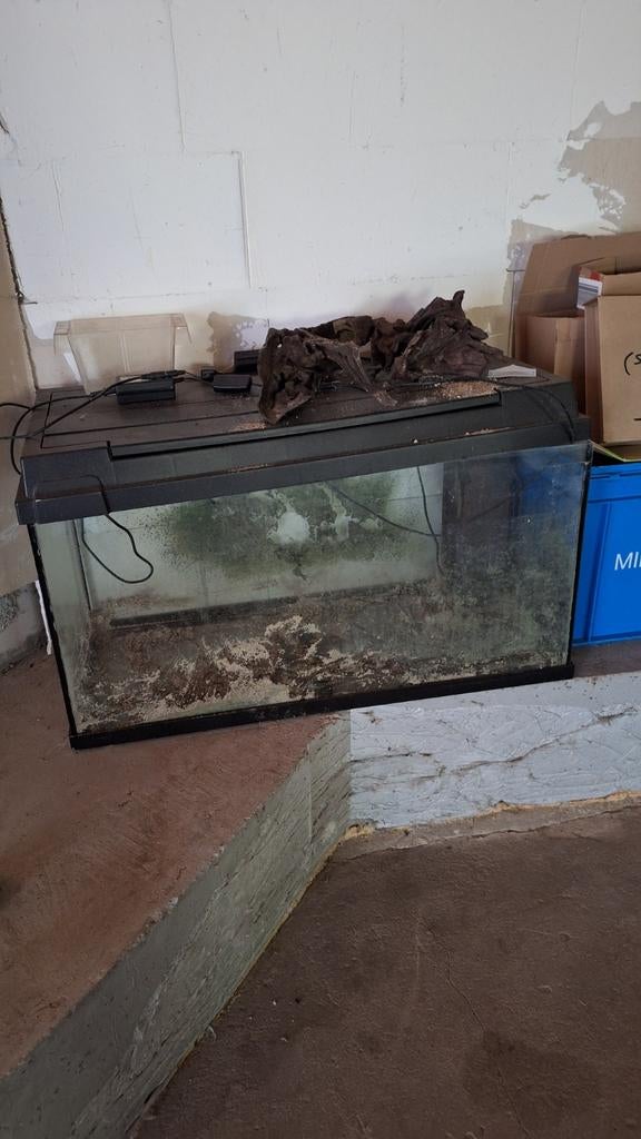 Aquaria voor tropische vissen., Dieren en Toebehoren, Vissen | Aquariumvissen, Vis