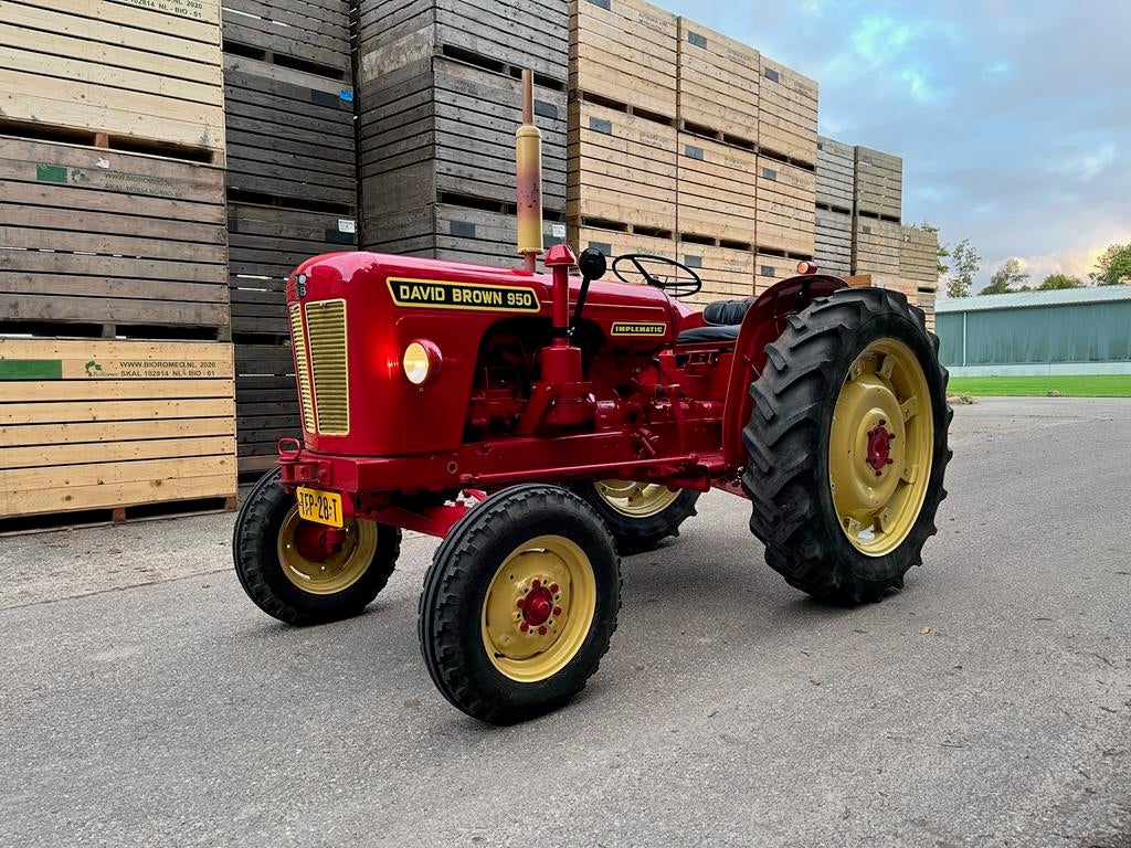 David Brown 950 2 stuks, Ophalen, Zo goed als nieuw, IJzer, Tuinhek