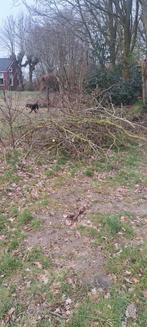 Gratis snoeihout/snoeiafval, Minder dan 3 m³, Ophalen