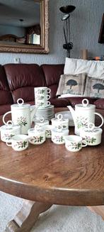 Villeroy & Boch servies met roosjes, Ophalen of Verzenden