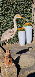 Opgezette Blauwe Reiger - Erfstuk met karakter, Ophalen of Verzenden, Gebruikt, Vogel, Opgezet dier