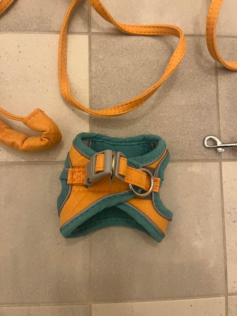 Katten tuigje, Dieren en Toebehoren, Ophalen of Verzenden, Nieuw