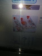 Kanarie poppen gezocht 3 x pigment vogels., Vrouwelijk, Kleurkanarie