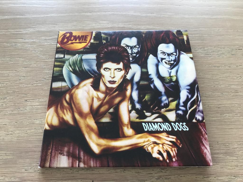 DAVID  BOWIE, Ophalen of Verzenden, Gebruikt