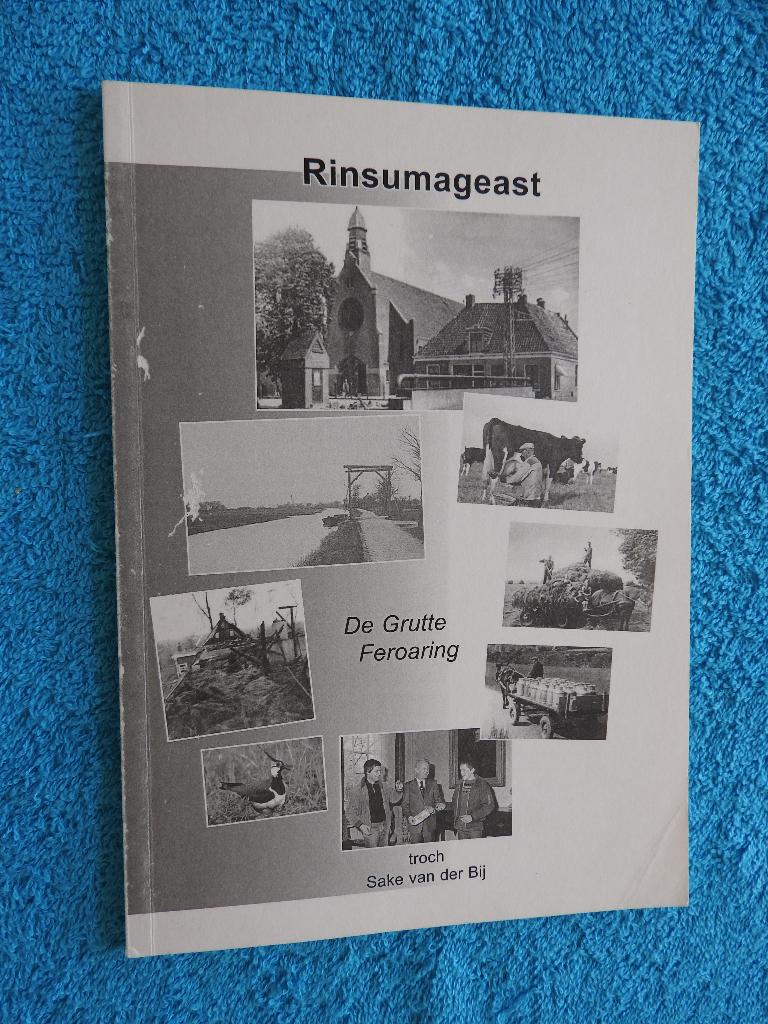 Rinsuamgeast - De Grutte Feroaring - Rinsumageest, Ophalen of Verzenden, Zo goed als nieuw