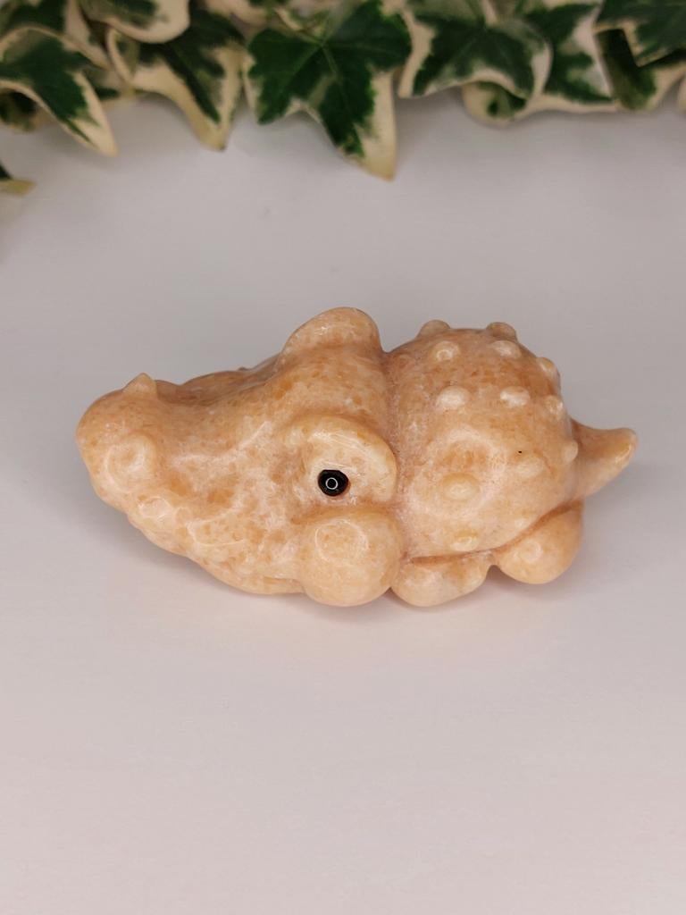 Calciet krokodil, Sieraden, Tassen en Uiterlijk, Edelstenen, Ophalen of Verzenden, Nieuw
