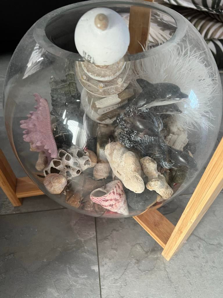 Aquarium rond, Ophalen of Verzenden, Leeg aquarium