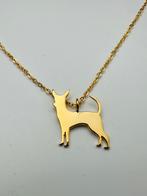 Chihuahua hanger geel/witgoud verguld zilver met/zonder kett, Met hanger, Nieuw, Ophalen of Verzenden, Goud