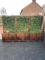 3 Verrijdbare Plantenbakken - 1.80m hoog, 1m breed, Tuin en Terras, Ophalen, Gebruikt, 100 cm of meer, 60 cm of meer