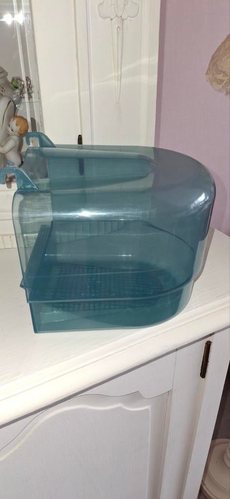 Bad voor parkieten, Meerdere dieren, Parkiet