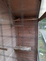 Voliere, Dieren en Toebehoren, Mannelijk, Overige soorten