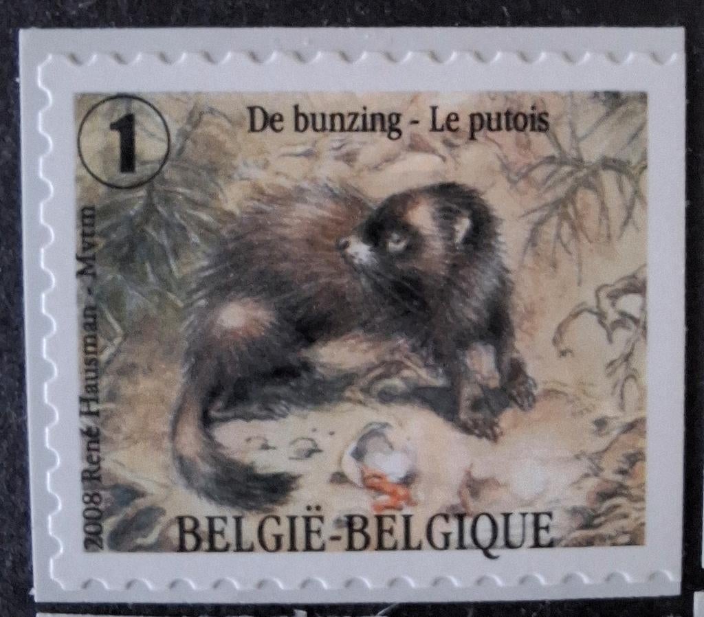 België 514 bunzing, Ophalen of Verzenden, Dier of Natuur