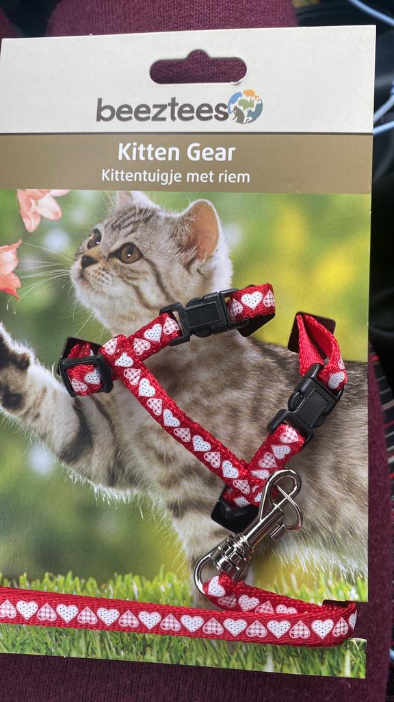 Kitten tuigje nieuw in verpakking, Dieren en Toebehoren, Ophalen, Nieuw