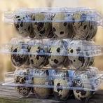 Kwartel eierdozen 50 stuks, Dieren en Toebehoren, Ophalen of Verzenden, Overige typen